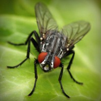 /album/hvgmvb/photolia-a01-jpg/