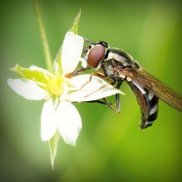 /album/hvgmvb/photolia-a02-jpg/