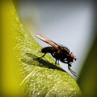 /album/hvgmvb/photolia-a04-jpg/