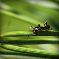 /album/hvgmvb/photolia-a05-jpg/