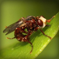 /album/hvgmvb/photolia-a06-jpg/