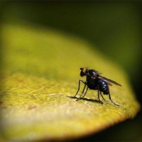 /album/hvgmvb/photolia-a07-jpg/