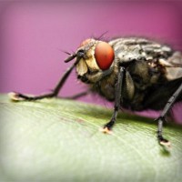 /album/hvgmvb/photolia-a08-jpg/